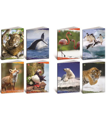 CF10 QUADERNO ANIMALI 100G A4 0B