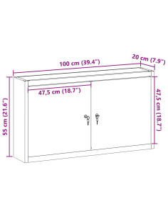 Mobile per attrezzi con blocco Nero e Grigio 50 x 20 x 55 cm 2