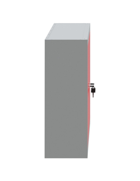 Armadio per attrezzi a muro  Rosso 100x20x55 cm Acciaio