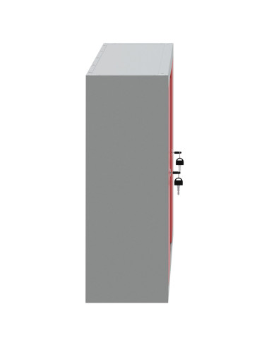 Mobile per attrezzi con blocco Rosso e Grigio 50 x 20 x 55 cm