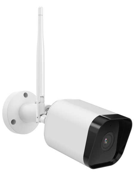 Isiwi ISW-BFES4M Pallottola (forma) Telecamera di sicurezza IP Interno e esterno Parete