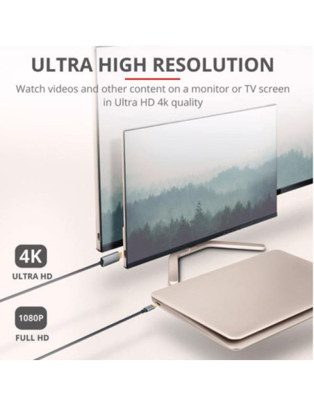 CALYX USB-C TO HDMI CABLE