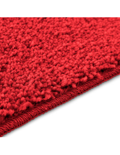 Tappeto Antiscivolo per Bagno con Taglio per Toilette Rosso 2