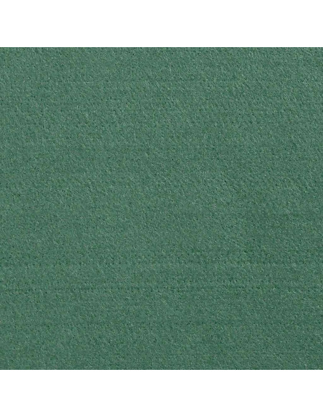 Telo Pagliaio 9,8x6 m 140 g/m² Polipropilene