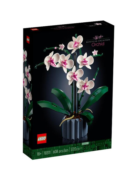 ORCHIDEA