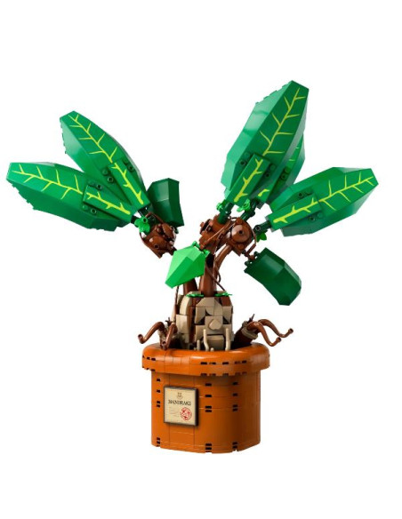 MANDRAGOLA