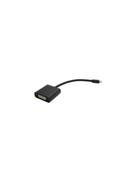 ADATT. MINI DP/M - DVI-D 24 1/ F