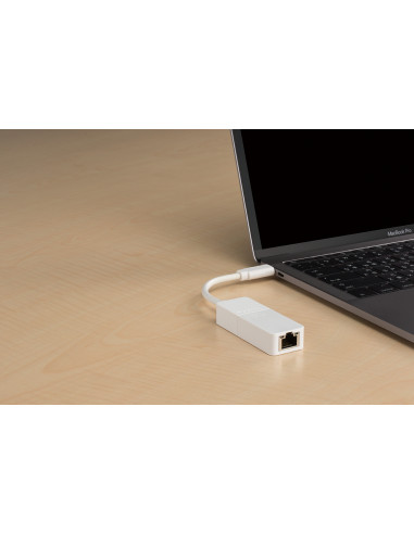 D-Link DUB-E130 scheda di rete e adattatore Ethernet 1000 Mbit/s