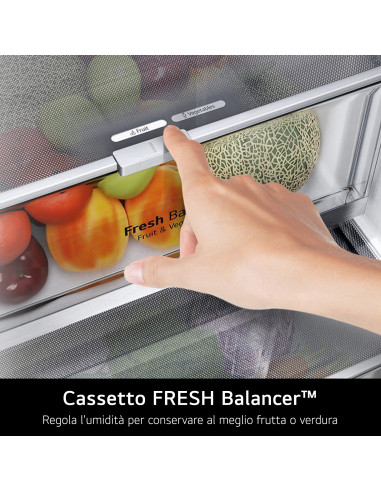 LG GBB569NSAGB Frigorifero combinato 70cm, Classe D, 462L, Wi-Fi, No frost, Grigio