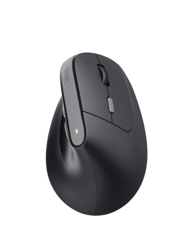 Trust Bayo II mouse Medico Mano destra RF Wireless Ottico 2400 DPI