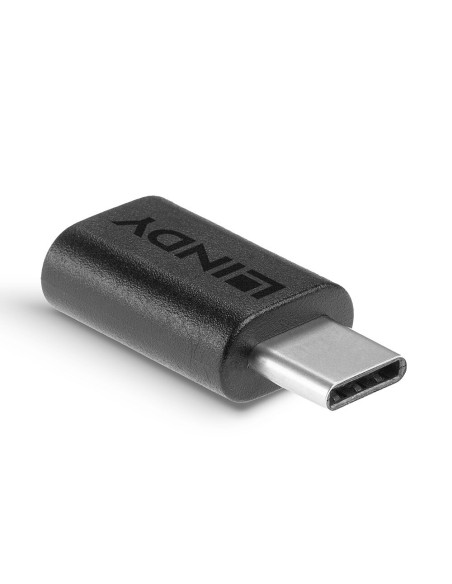 Lindy 41896 adattatore per inversione del genere dei cavi USB-C Micro-B Nero