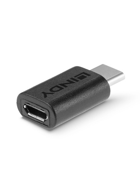 Lindy 41896 adattatore per inversione del genere dei cavi USB-C Micro-B Nero
