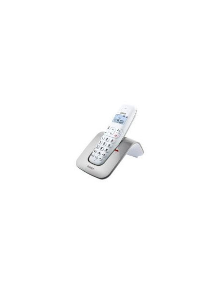 SAIET SLIDE SILVER