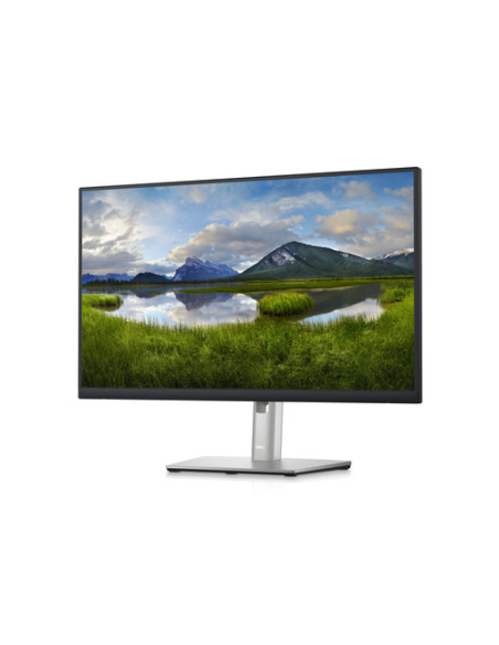 DELL P Series Monitor 24 Hub USB-C - P2423DE