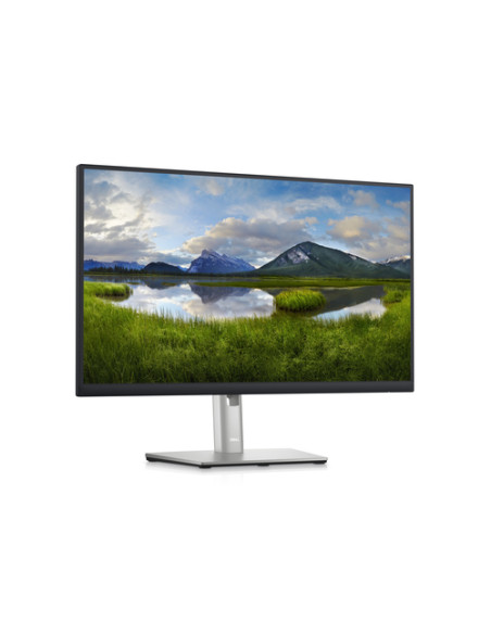 DELL P Series Monitor 24 Hub USB-C - P2423DE