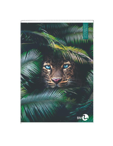 CF 10 QUADERNI ANIMAL A4 80GR R.1R