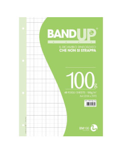 RICAMBI RINF. BANDUP 100G A4 R.10MM