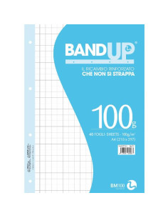 RICAMBI RINF. BAND UP 100G A4 R.10F