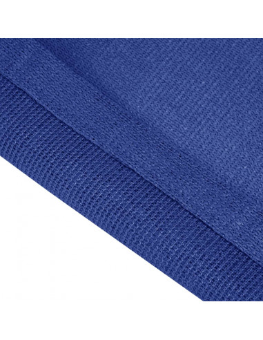 Tappeto da Tenda 300x500 cm Blu in HDPE