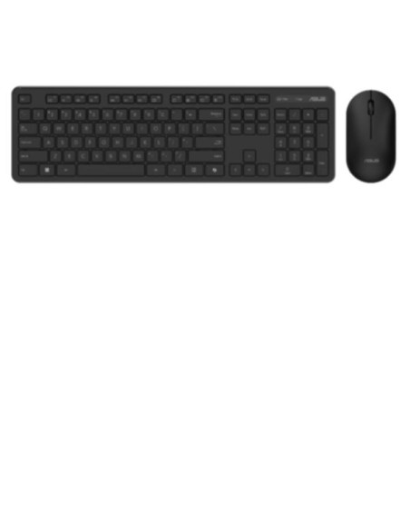 KITM+T/IT/WR/2.4GHZ COPILOT CW100