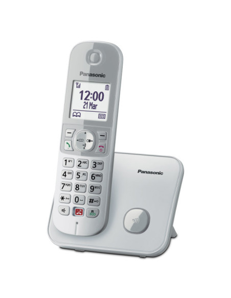 CORDLESS PANASONIC KX-TG6851JTS SILVER