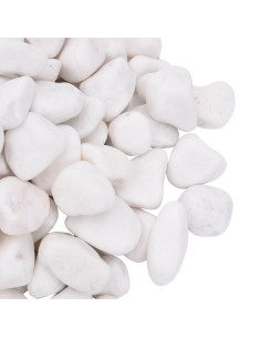 Ciottoli Levigati 10 kg Bianchi 2-5 cm