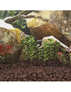 Rocce Vulcaniche 10 kg Rosse 3-5 cm