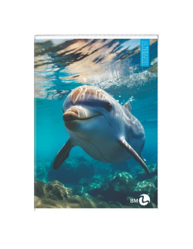 CF 10 QUADERNI ANIMAL A4 80GR R.1R