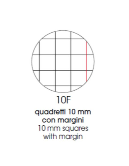 CF 10 QUADERNI ANIMAL A4 80GR R.4F