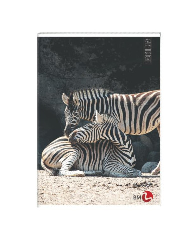 CF 10 QUADERNI ANIMAL A4 80GR R.4MM