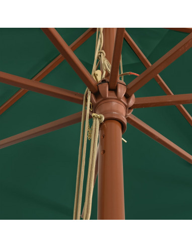 Ombrellone da Giardino con Palo in Legno Verde 400x273 cm