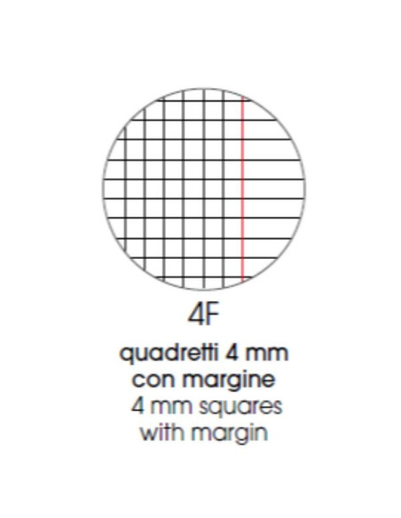 CF10 QUAD MAXI SWEET A4 100G R.4F