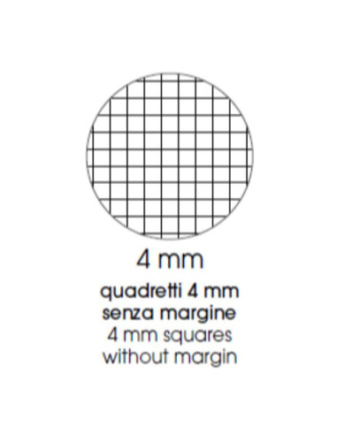 CF10 QUAD. MAXI FLOR A4 100GR R.4MM