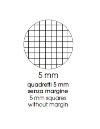 CF10 QUAD. MAXI FLOR A4 100GR R.5MM