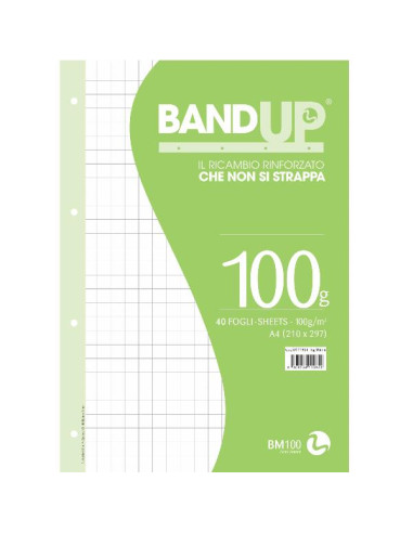 RICAMBI RINF. BANDUP 100G A4 R.10MM