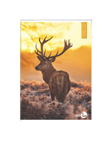 CF10 QUADERNI ANIMAL A4 80GR R.10MM