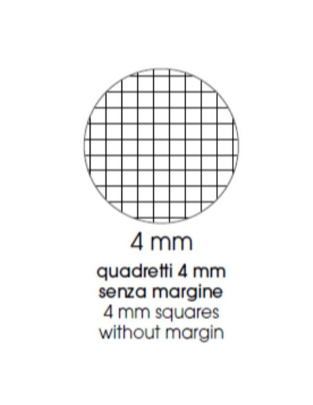 CF4 QUAD MAXICARTONAT A4 70GR R.4MM