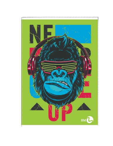 CF10 QUADERNI BIMBO A4 80GR R.10MM