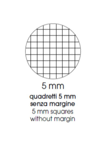 CF12 QUAD.COLOR A5 80G R.5MM COLASS