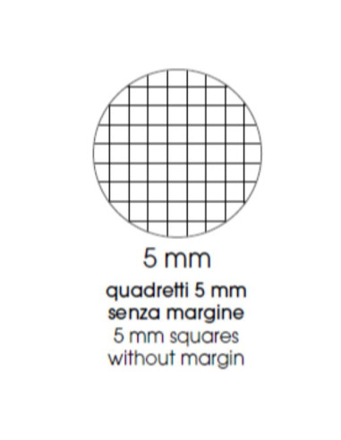 CF12 QUADCENTUS A4 100G R.5MM C.ASS