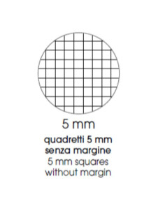 CF5 QUAD SPIRAL. FLUO A4 80GR R.5MM 2