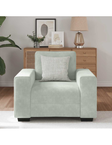 Divano Sedia Grigio Chiaro 60 cm Velluto