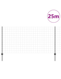 Recinzione con Posto Grigio 1,2 x 25 m Acciaio