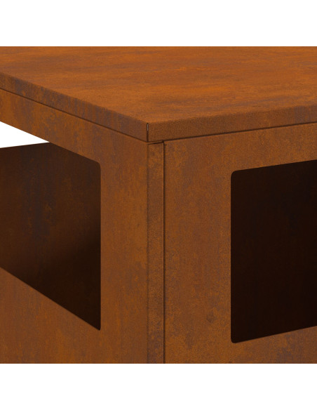 Focolare Marrone 50 x 50 x 100 cm Acciaio