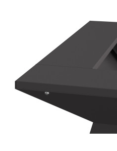 Focolare Nero 48 x 48 x 40 cm Acciaio 2