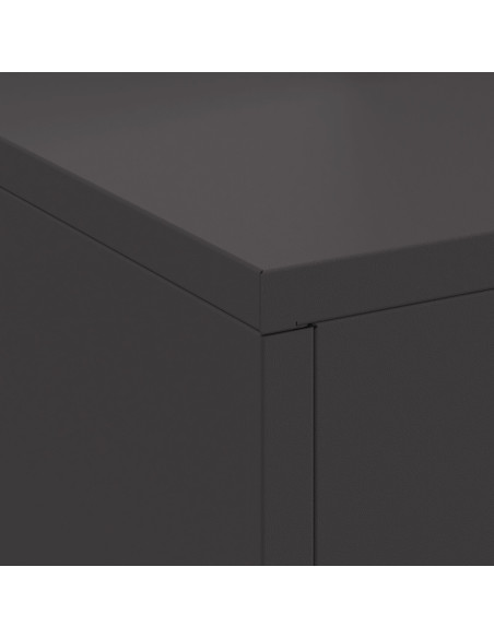 Focolare Nero 60 x 40 x 96 cm Acciaio