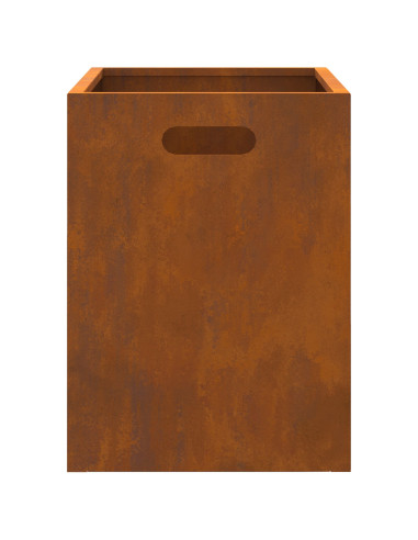 Focolare Marrone 50 x 30 x 40 cm Acciaio