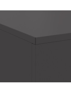 Focolare Nero 100 x 100 x 30 cm Acciaio 2