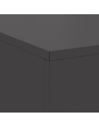 Focolare Nero 100 x 100 x 30 cm Acciaio