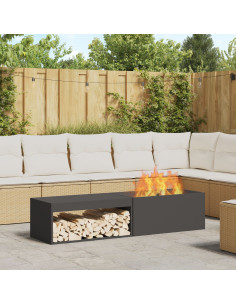 Focolare Nero 160 x 45 x 35 cm Acciaio 2